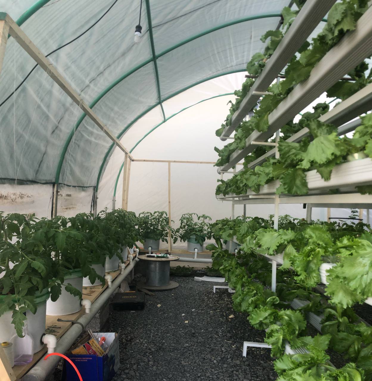 Backyard hydroponic prototype with growing channels and crop buckets.
